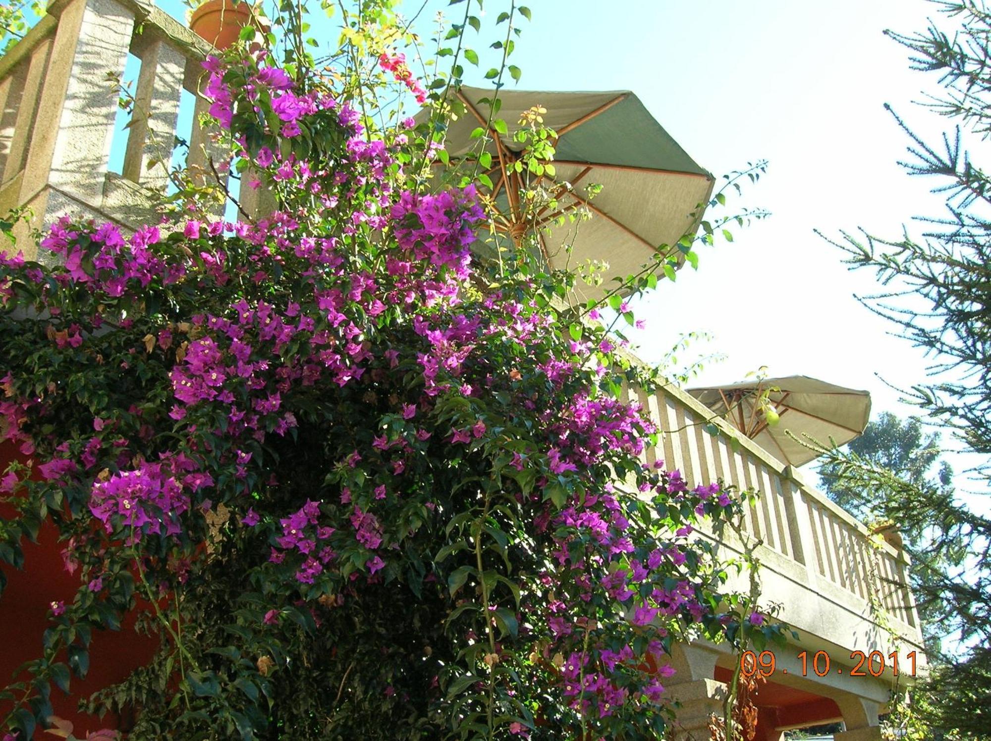 As Adegas Guest House Poio Exterior photo